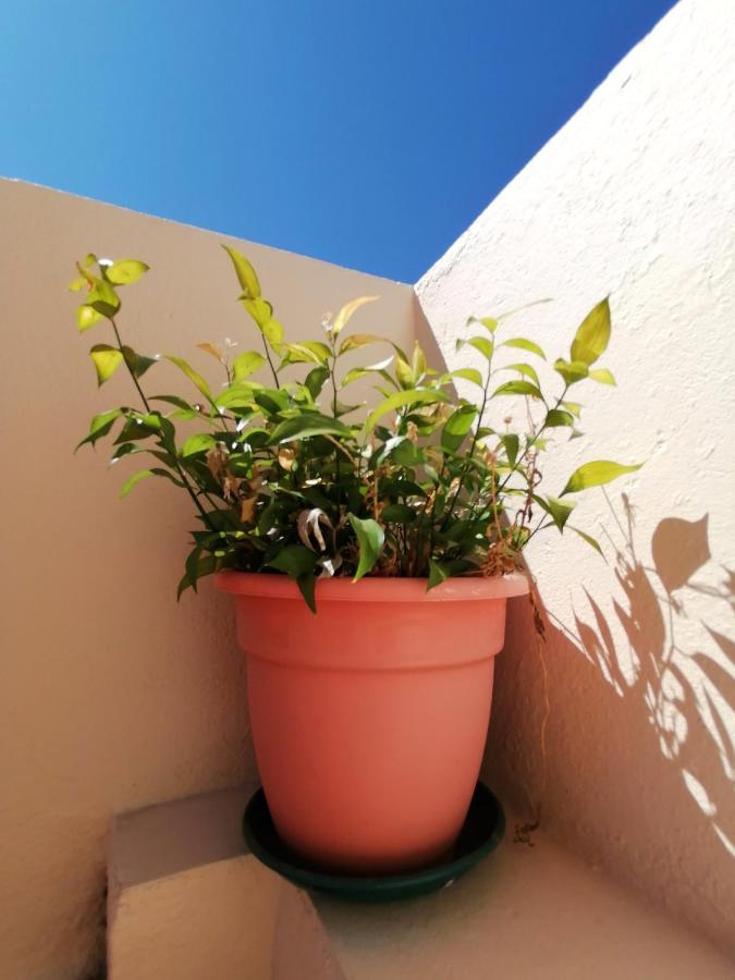 Apartamento Penha T3 Faro Kültér fotó